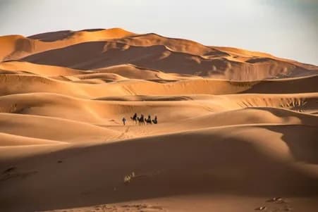 Op gezinsvakantie naar Afrika? 3x inspiratie!