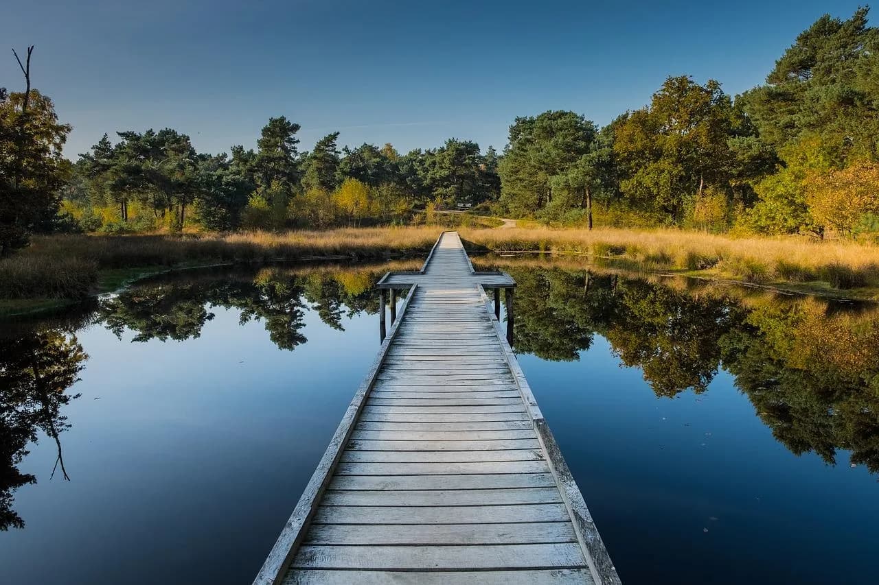 Huisje huren Nederland in het heuvelachtige Limburg