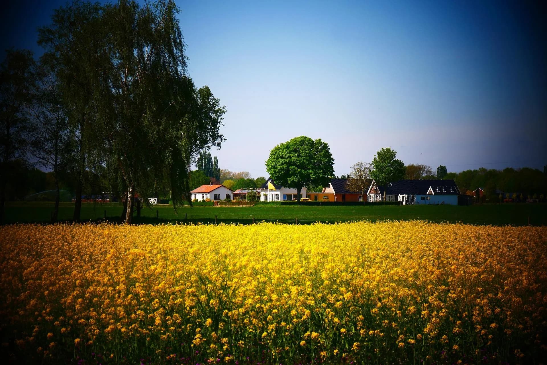 Huisje huren in Gelderland