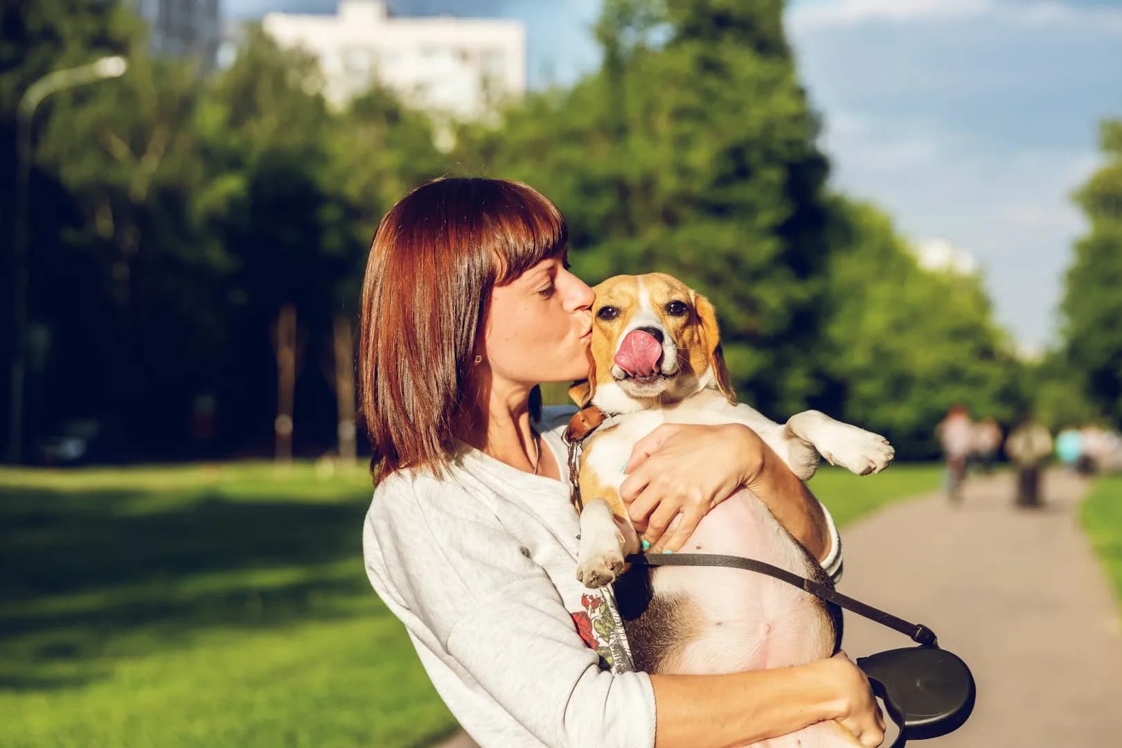 Vakantie met de hond: tips voor een zorgeloze vakantie